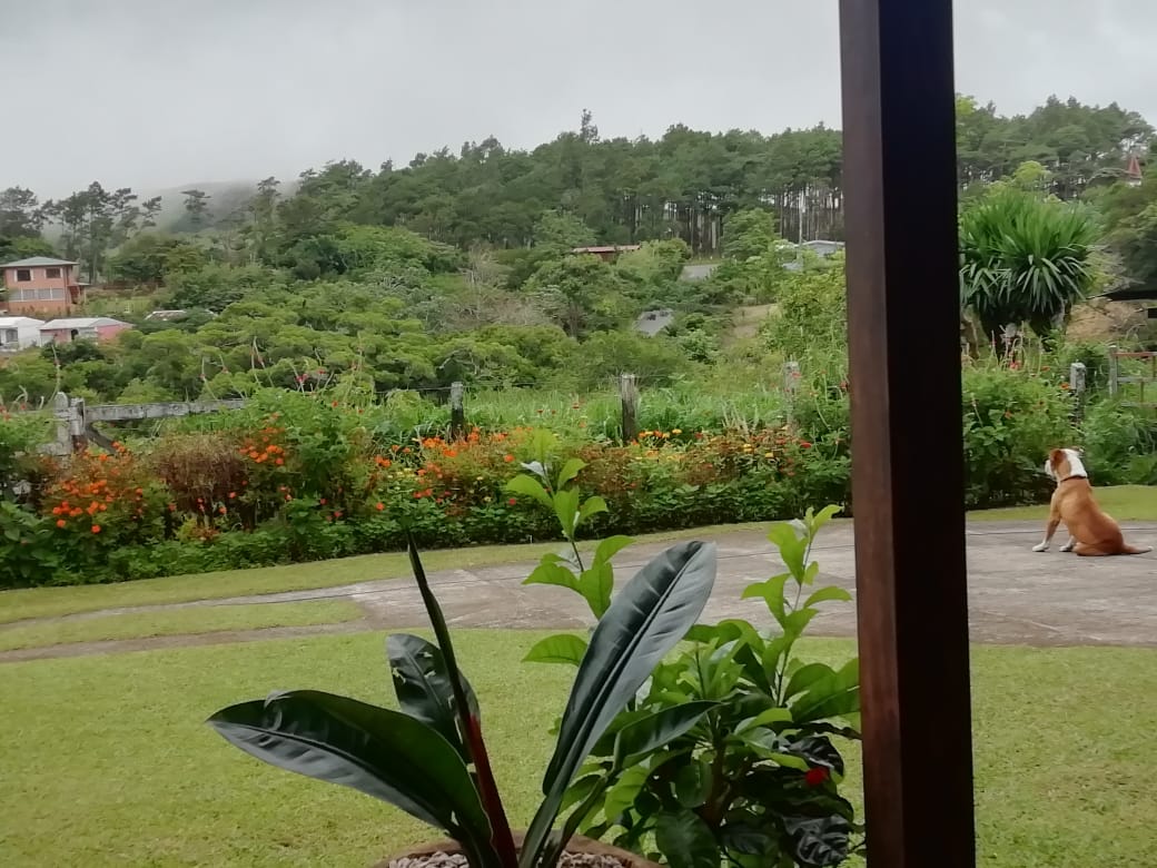 Expansive 30,229 m² (7.46 Acre) Lot w/ House & Scenic Views in Tierras Morenas photo 21