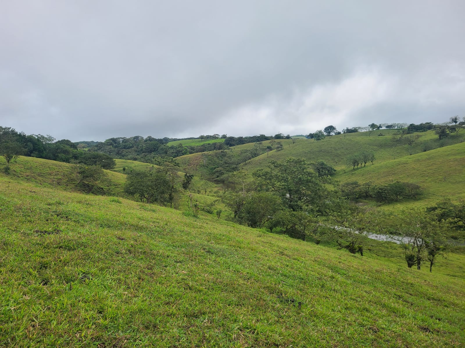 Spectacular 105-Hectare Lot with Lakes, Mountain Views, & Natural Resources  photo 6