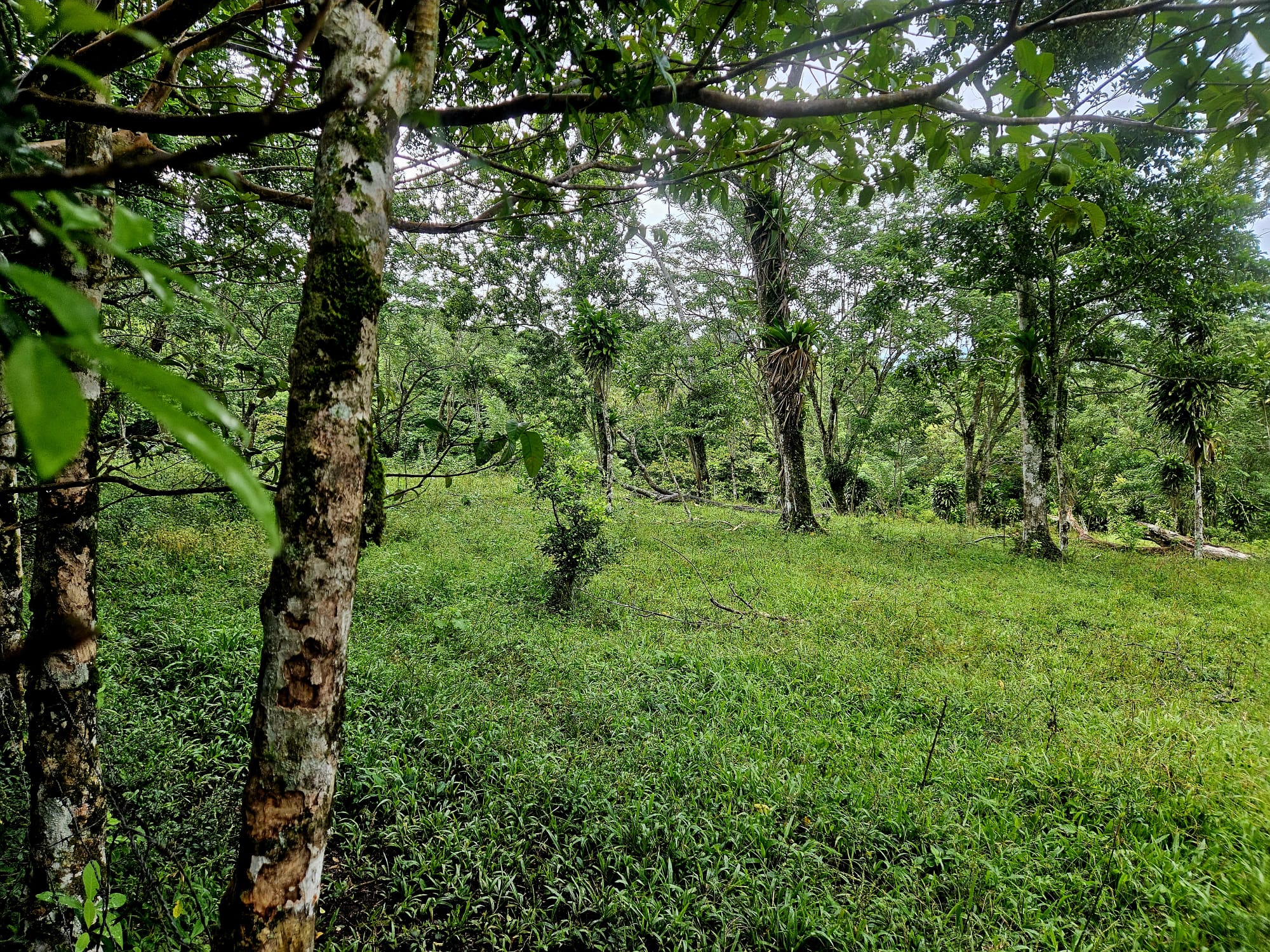 8,737 M2 (2.15 Acre) Lot with View  of Lake Arenal in Tronadora photo 8