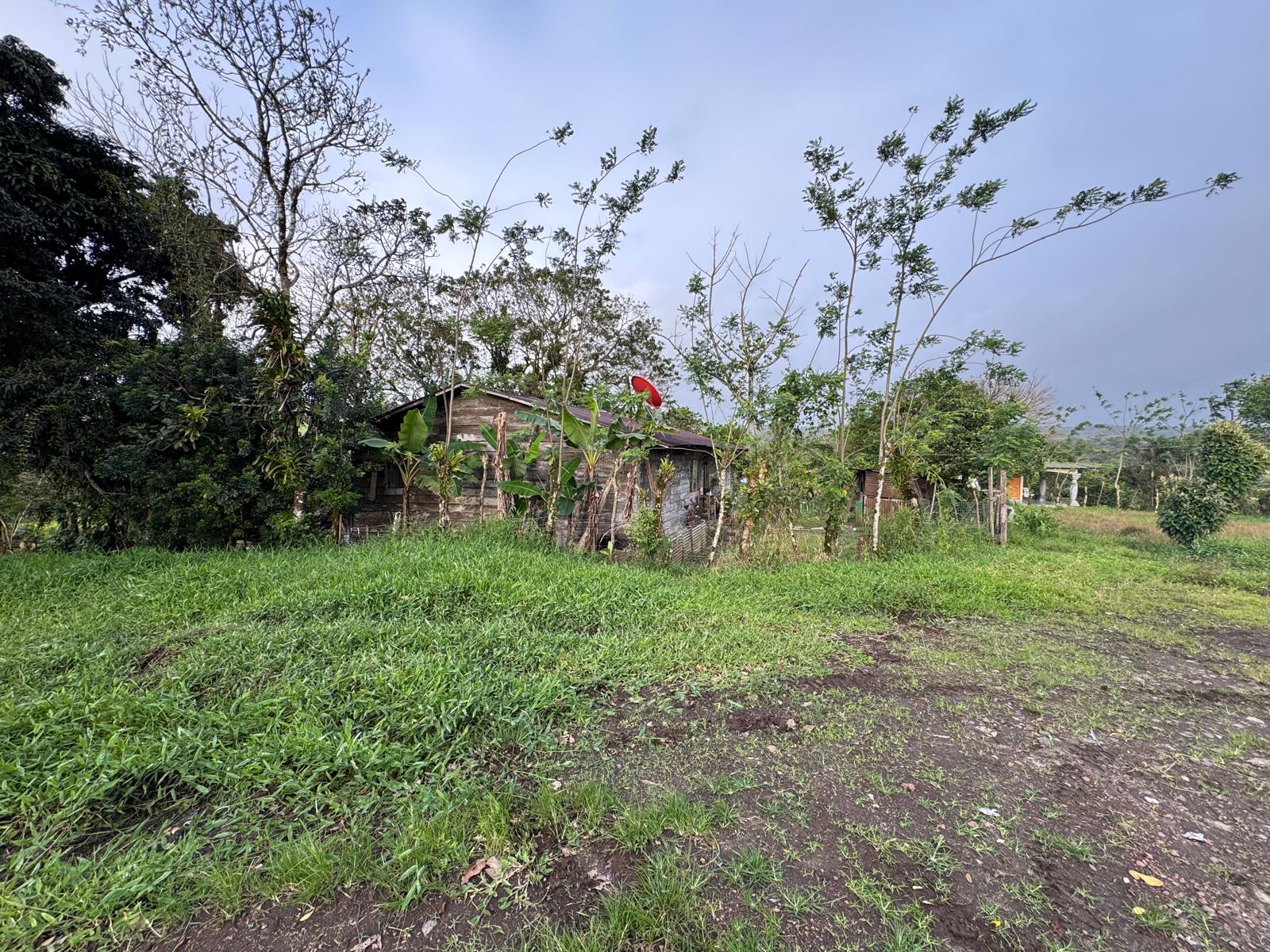 Expansive Self-Sufficient Farm Overlooking Lake Arenal in Nuevo Arenal photo 6