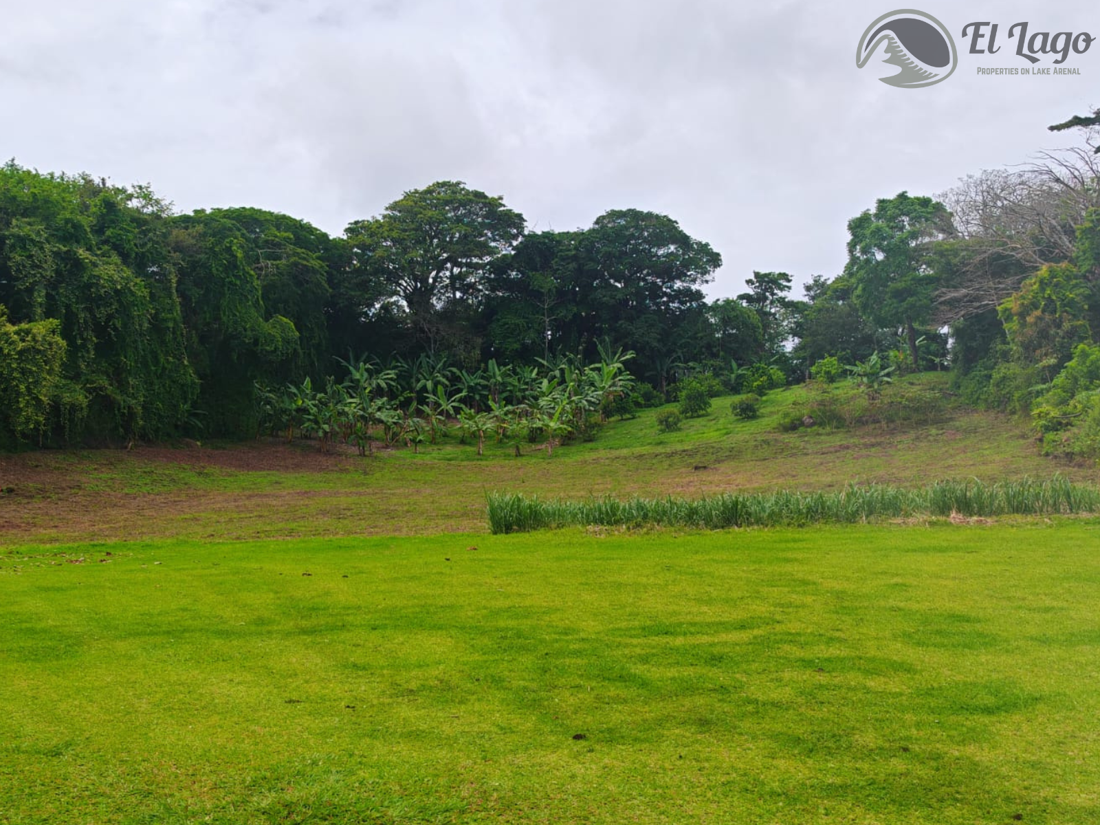 Luxury Estate w/ 8 BD, 9 BA, Private Forest, and Development Potential photo 98