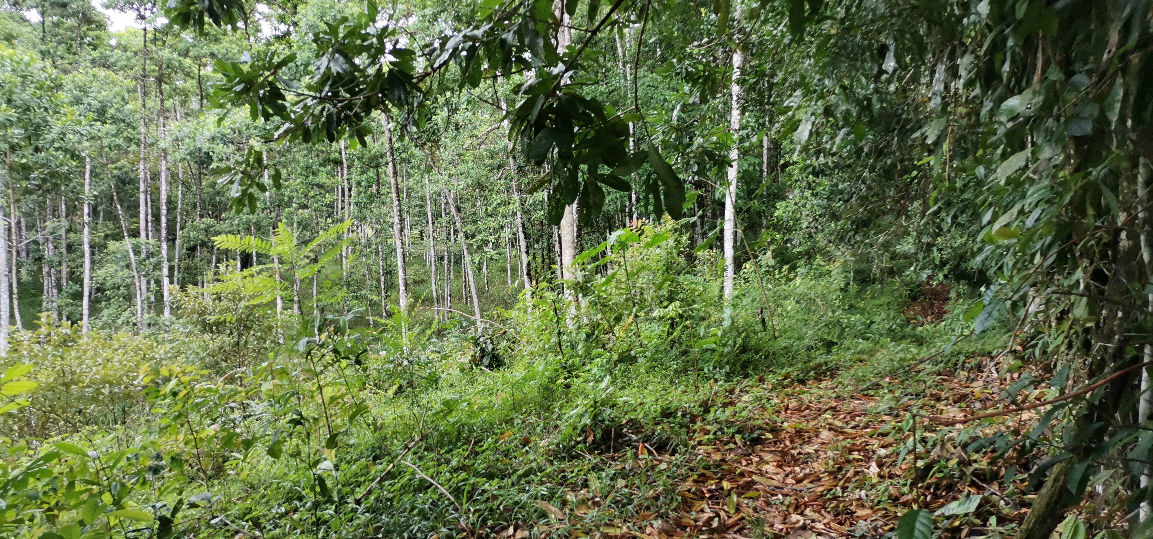 Fully Furnished 2 Bedroom 2 Bathroom Home On Cote River  photo 32