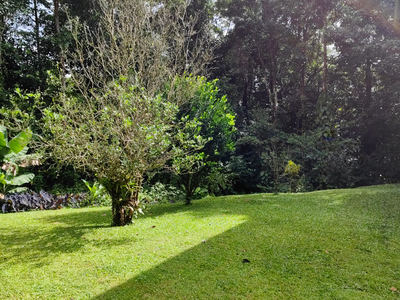 Hacienda Style 2BD/2.5BA + Office + Apt in Gated Community photo 42