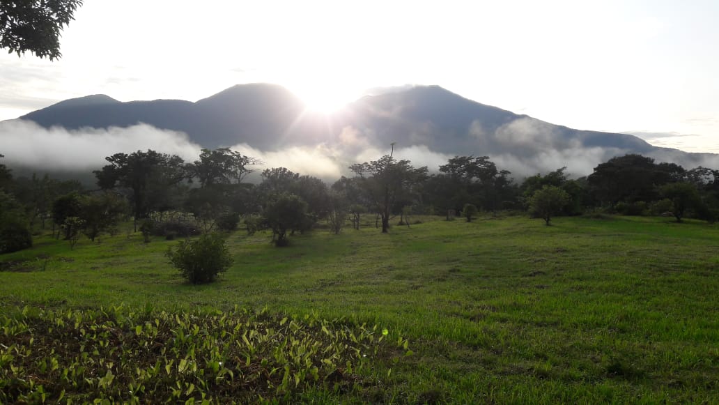 Lovely Studio Cabin on a 5,447 m2 Volcano View lot in Rio Naranjo photo 27