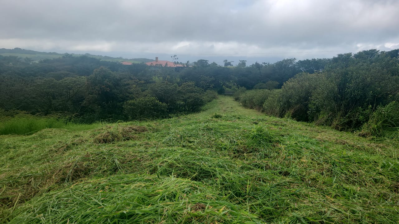 Stunning 12.59-Acre Lot with Volcano Views in Nuevo Arenal  photo 14