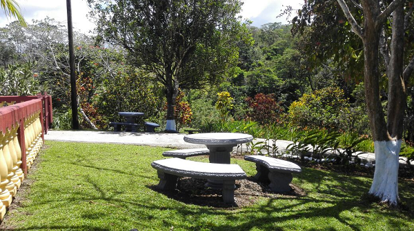 Beautiful 5 Bedroom 3 Bathroom Home Estate on 66 acres In Guatuso photo 16