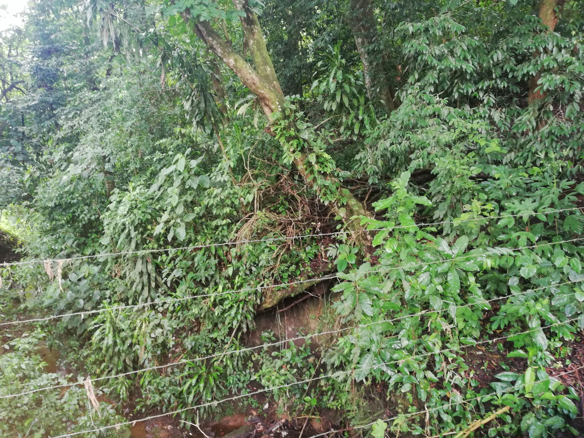 READY TO BUILD! 2,670m2 Parcel near Downtown Tronadora  photo 11