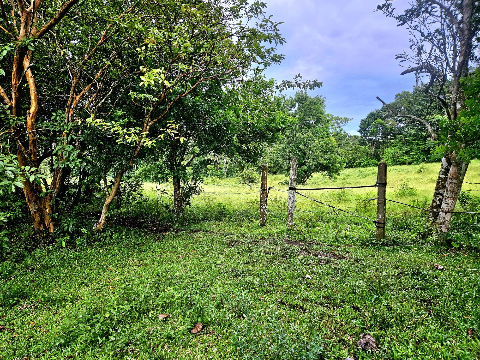 8,737 M2 (2.15 Acre) Lot with View  of Lake Arenal in Tronadora photo 6