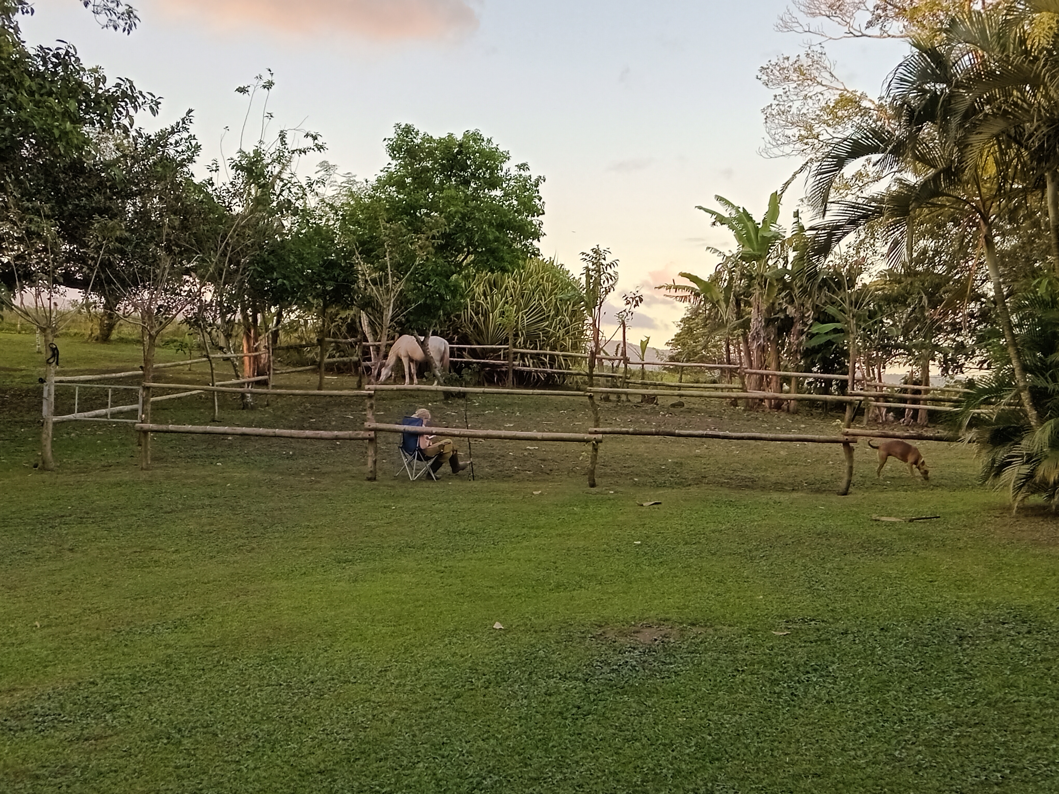 Commercial property: main house + 5 cabins + greenhouse + stable in Cinco Esquinas  photo 89