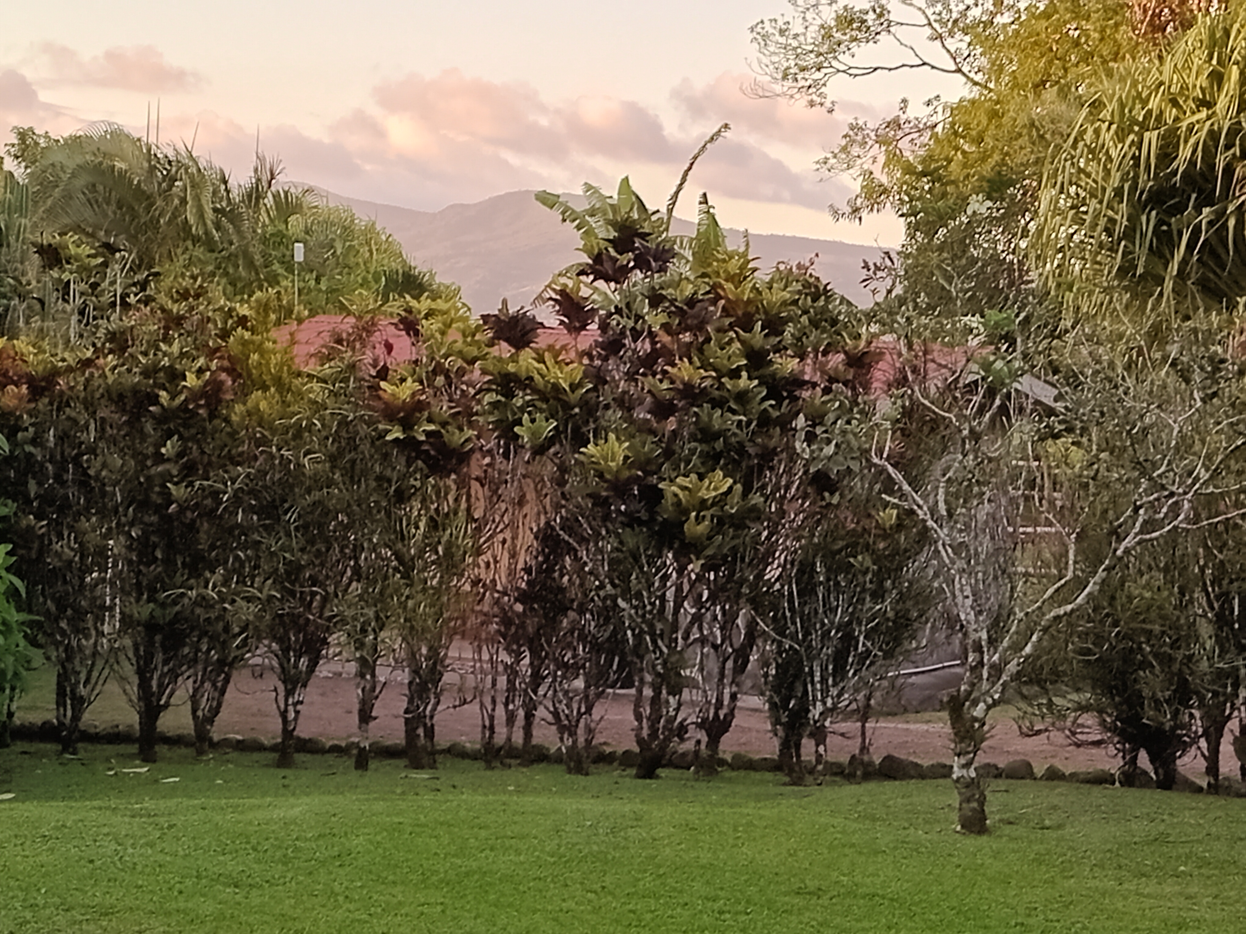 Commercial property: main house + 5 cabins + greenhouse + stable in Cinco Esquinas  photo 91