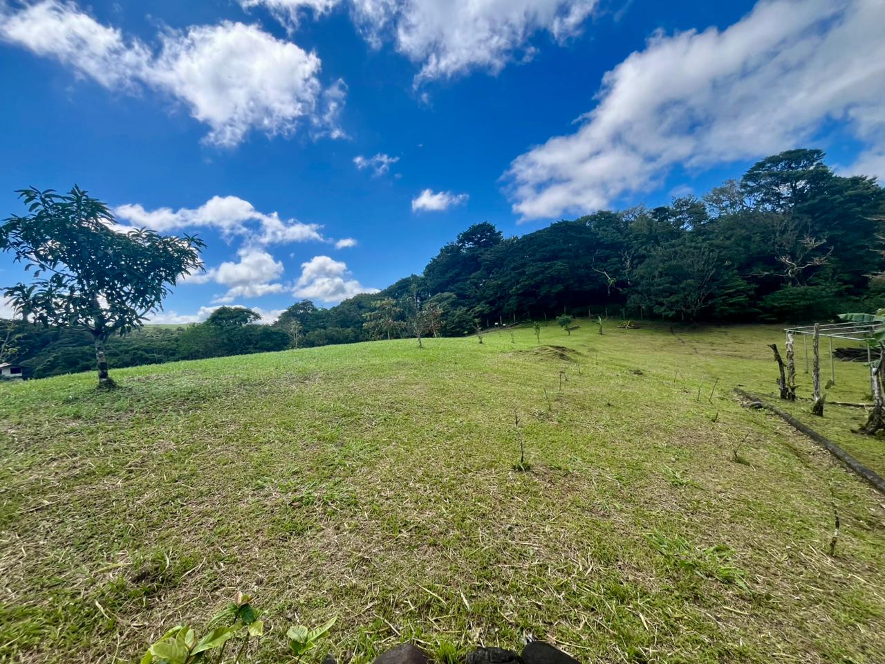 Commercial Property with Expansive Space and Breathtaking Mountain Views  photo 6