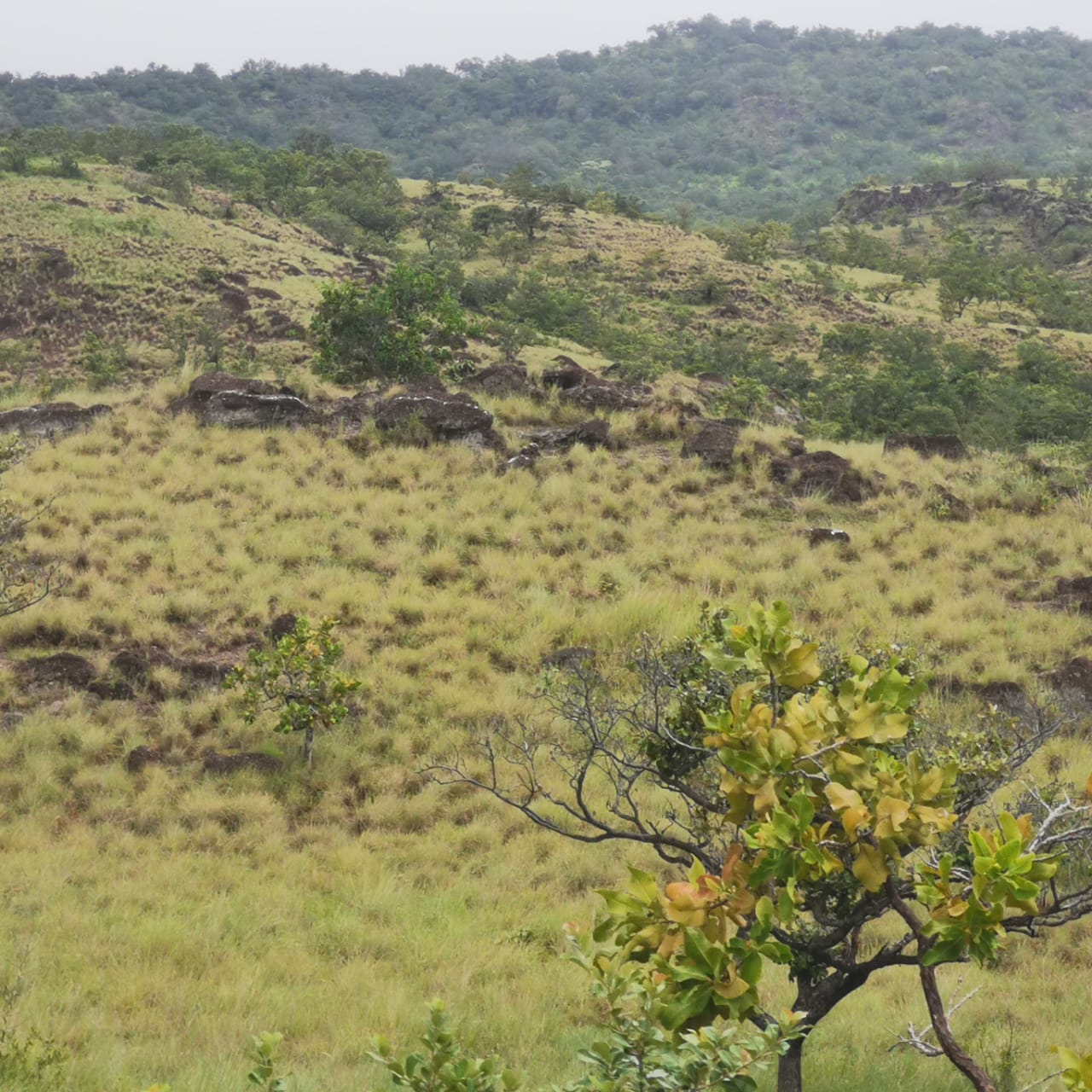 Private 26,000 m² Lot w/ Panoramic Views & Natural Water Source in Bagaces photo 11