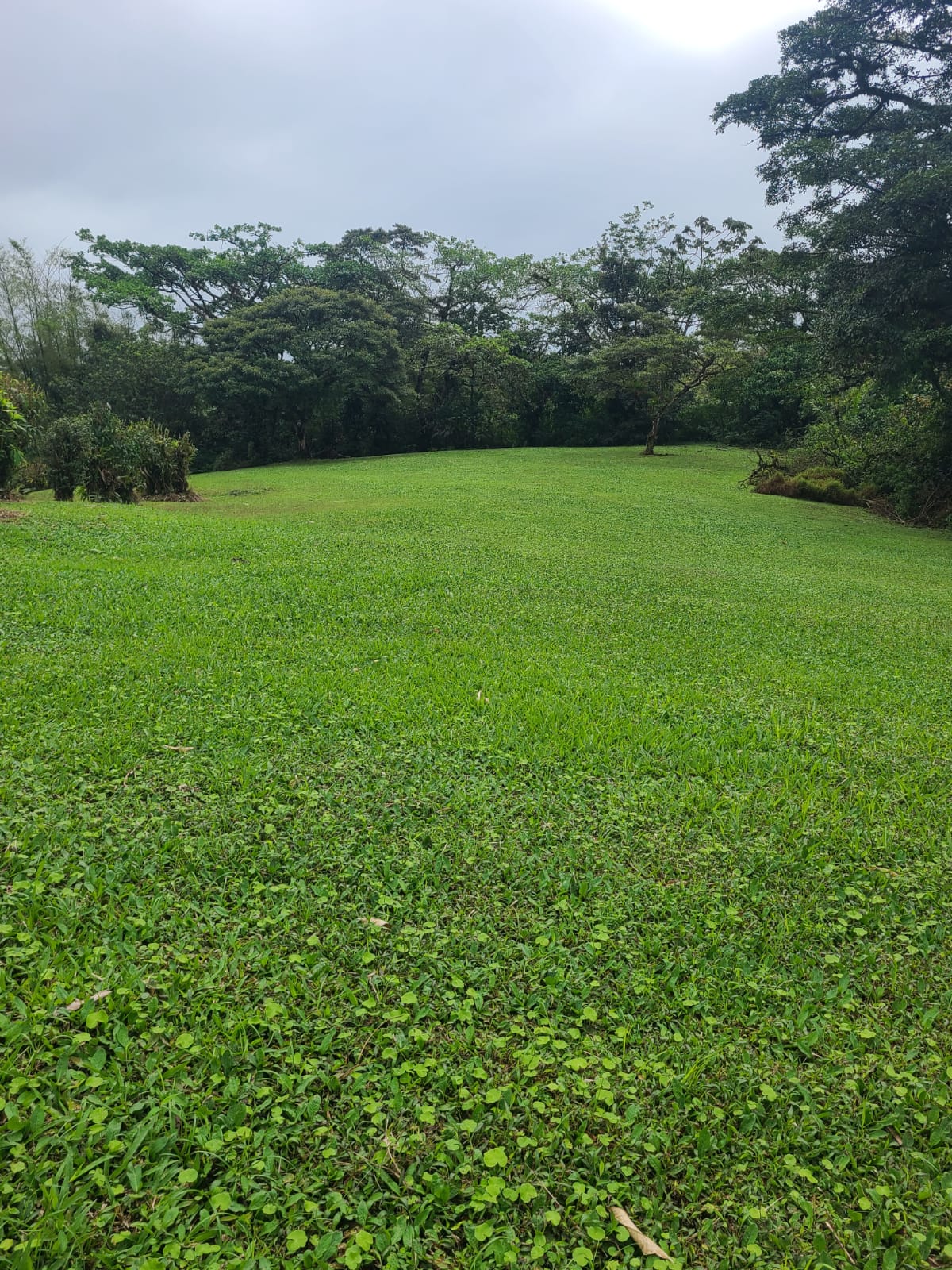 Charming Home 2Bedroom 2Bathroom in Bella Vista Gated Community photo 21