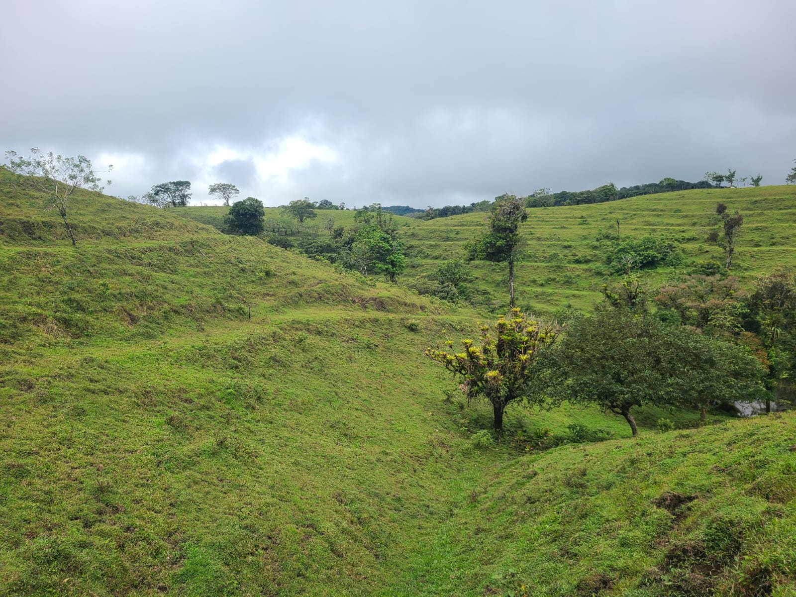 Spectacular 105-Hectare Lot with Lakes, Mountain Views, & Natural Resources  photo 19