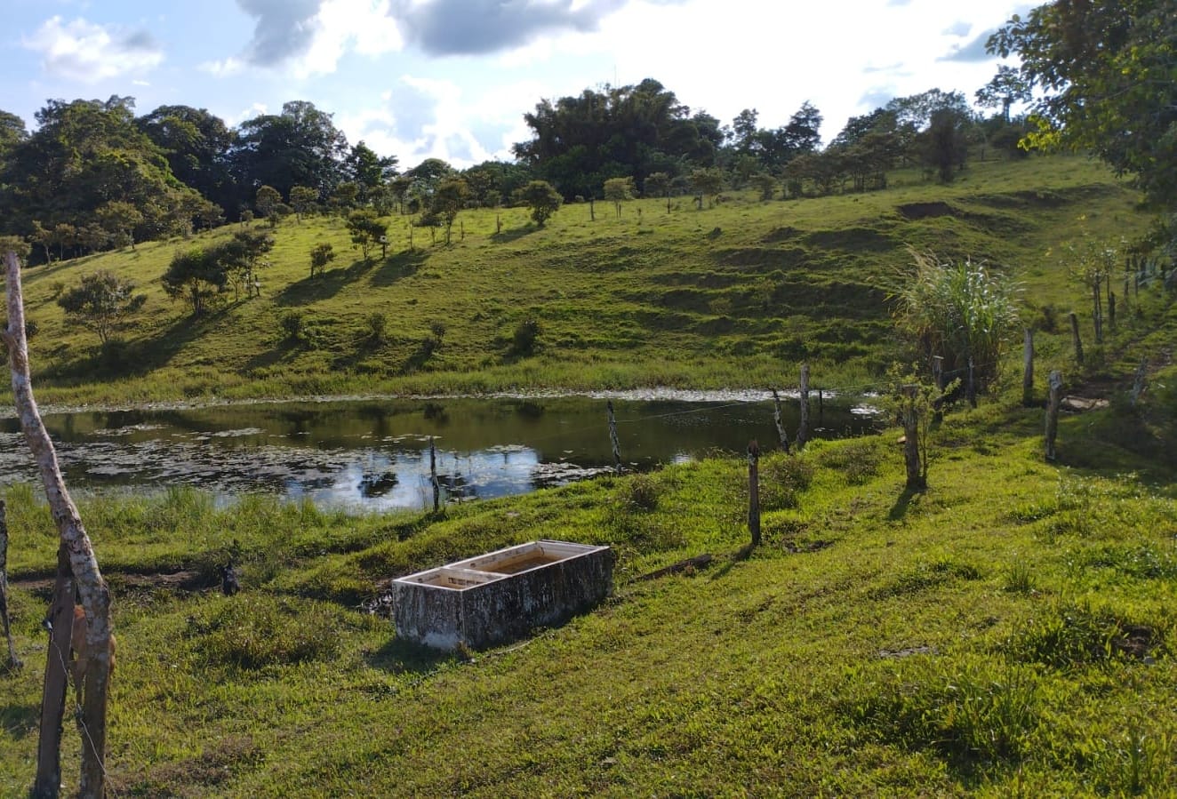 16-Hectare Farm with a Private Well and Views of Lake Arenal in Nuevo Arenal photo 10