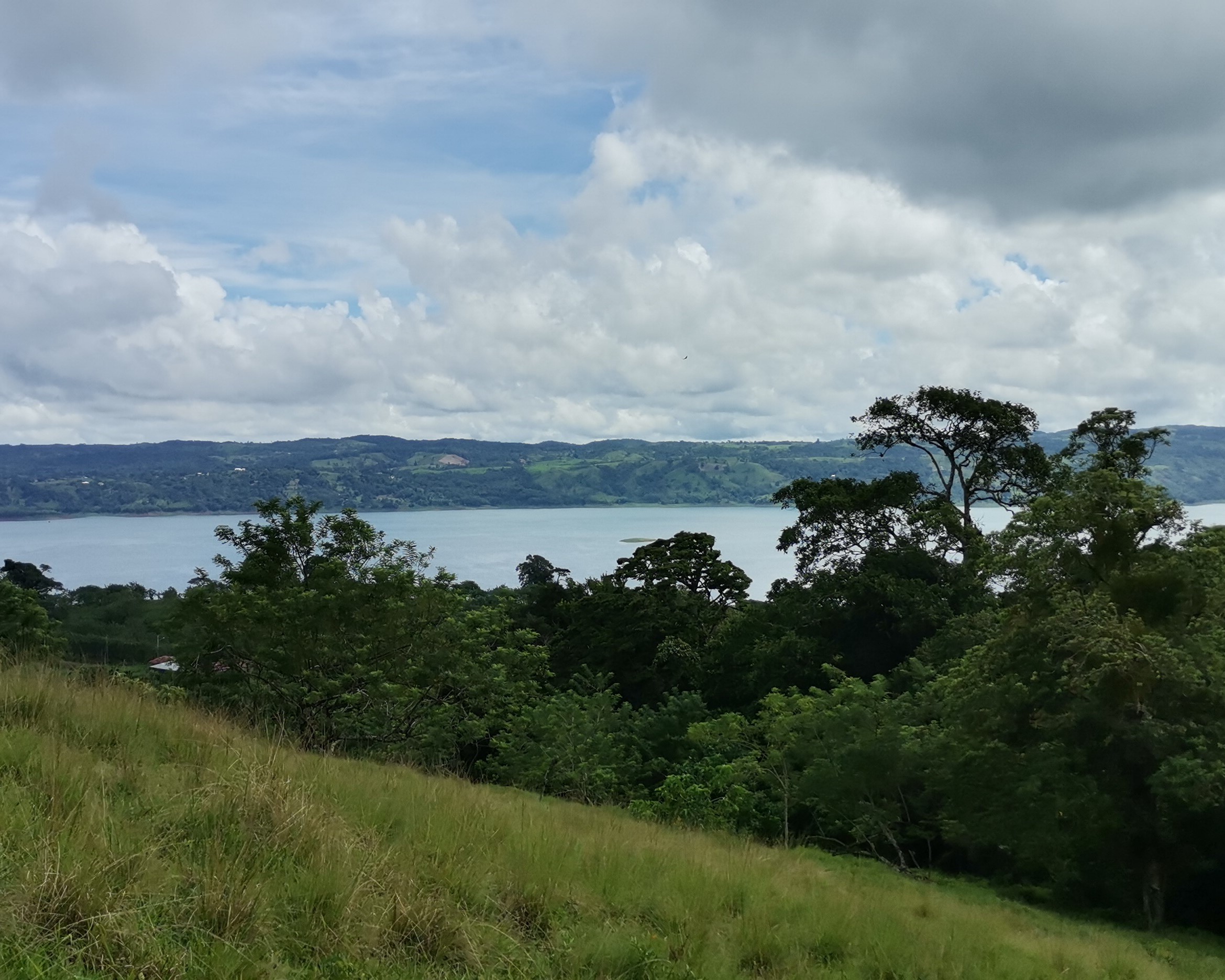 Magnificent 24,811m2 Lake and Volcano View Parcel with Huge Views in Tronadora photo 30