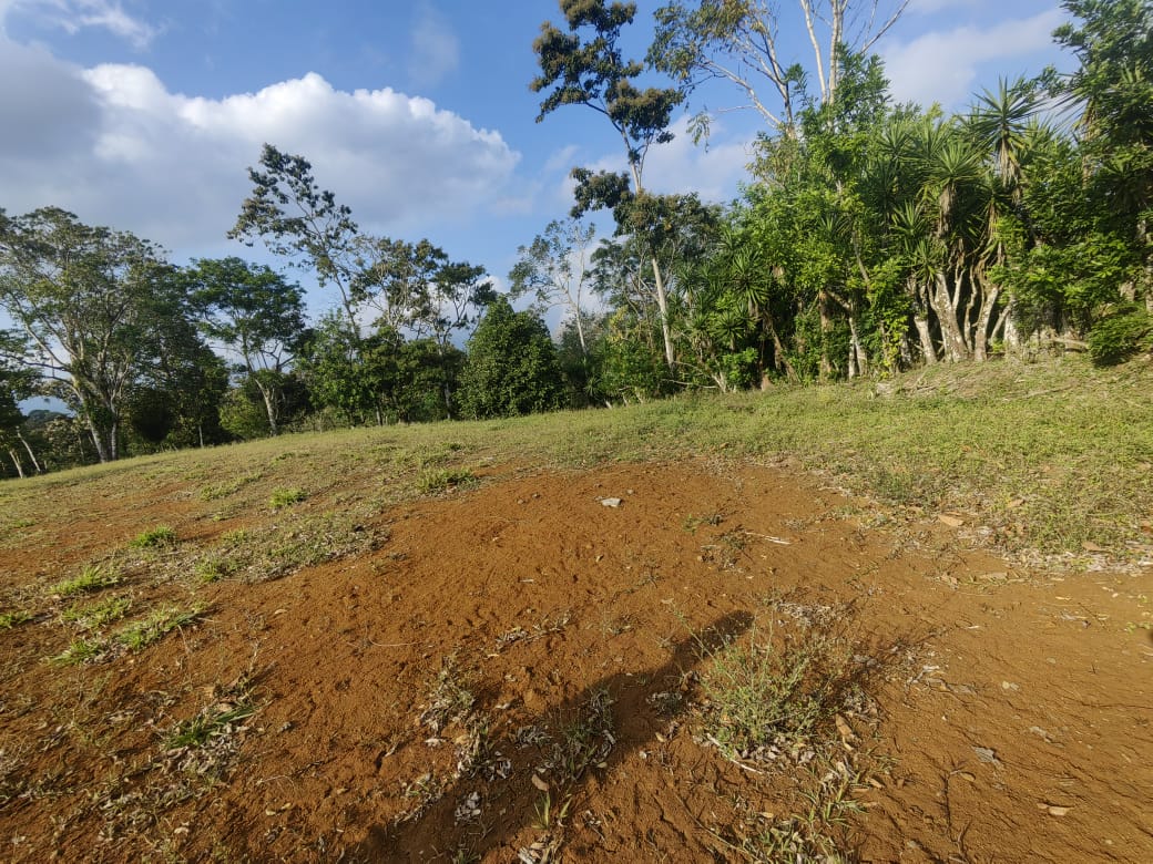 Beautiful Lot of 5461 m2 (1,34 Acre) in downtown Tronadora photo 7