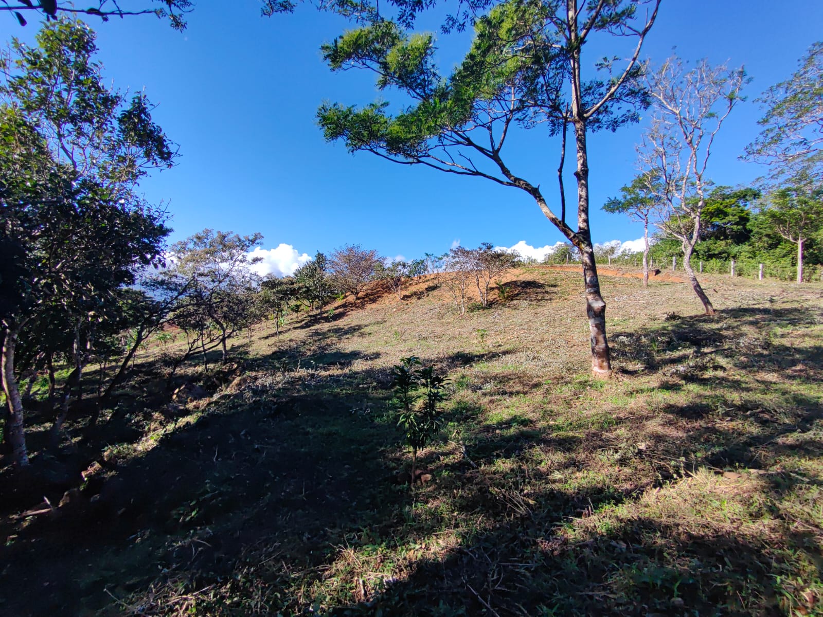 2500 m2 Ready to build / Beautiful Views & Commercial Potential-Nueva Guatemala photo 8