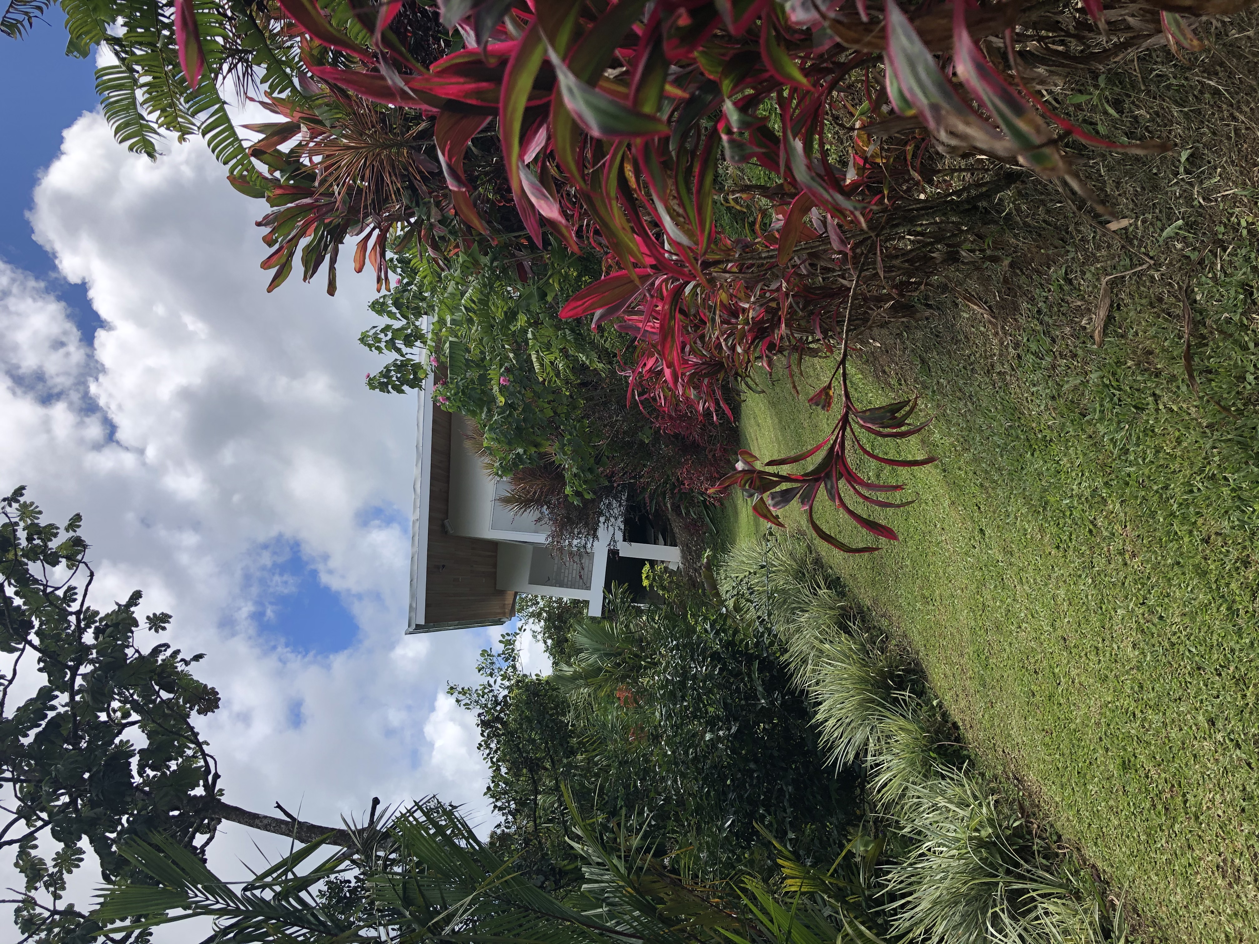 Casa Pink Sky 3BD 3BA – A Private Sanctuary with Volcano & Mountain Views photo 36