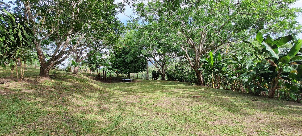 Lakeview Home 4BD 2BAw/ Lake Access, Development Potential & BMW  photo 25