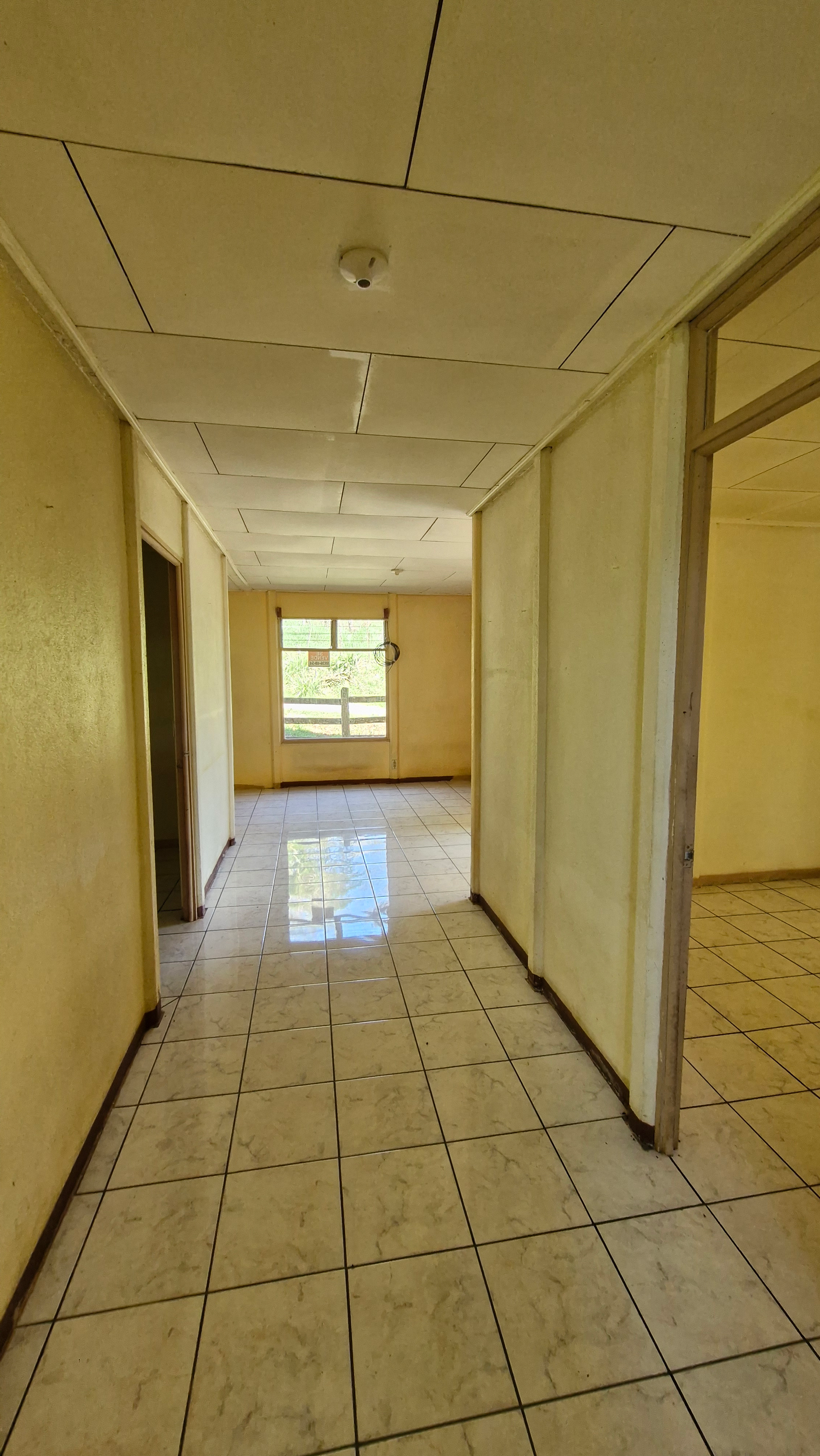 Lovely Home 4BD/2BA With Wind farms views in Parcelas de Quebrada Azul  photo 11