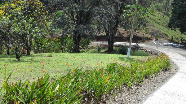 Beautiful 5 Bedroom 3 Bathroom Home Estate on 66 acres In Guatuso photo 14