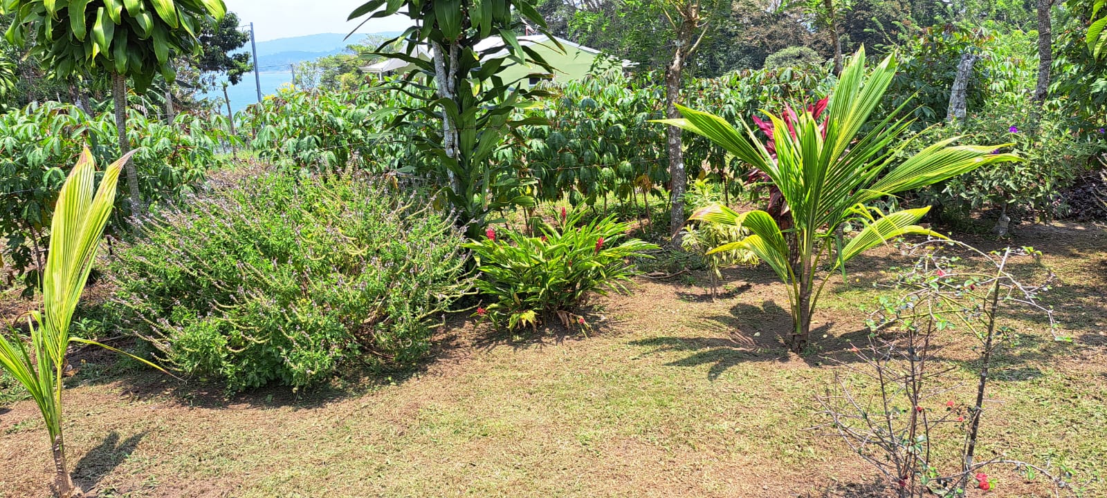 Lovely 3 Bedroom 1 Bathroom Home with Lake Arenal View In Tronadora photo 23