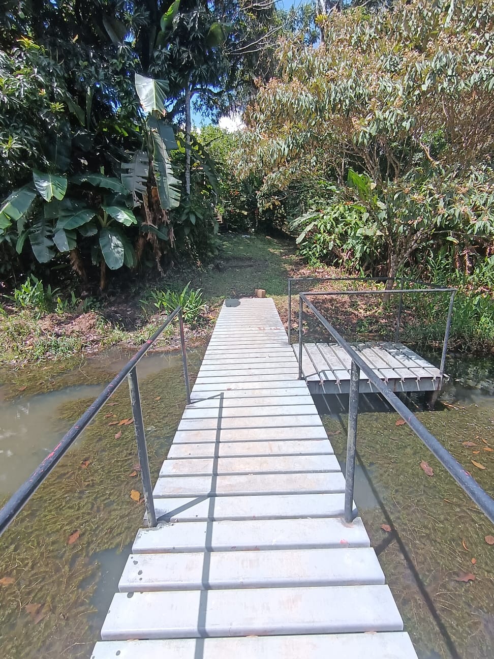 Beautiful Home 2BD 1BA in a 19424.9 m2 (4.8 Acre) Lot w/ Private Spring  photo 25