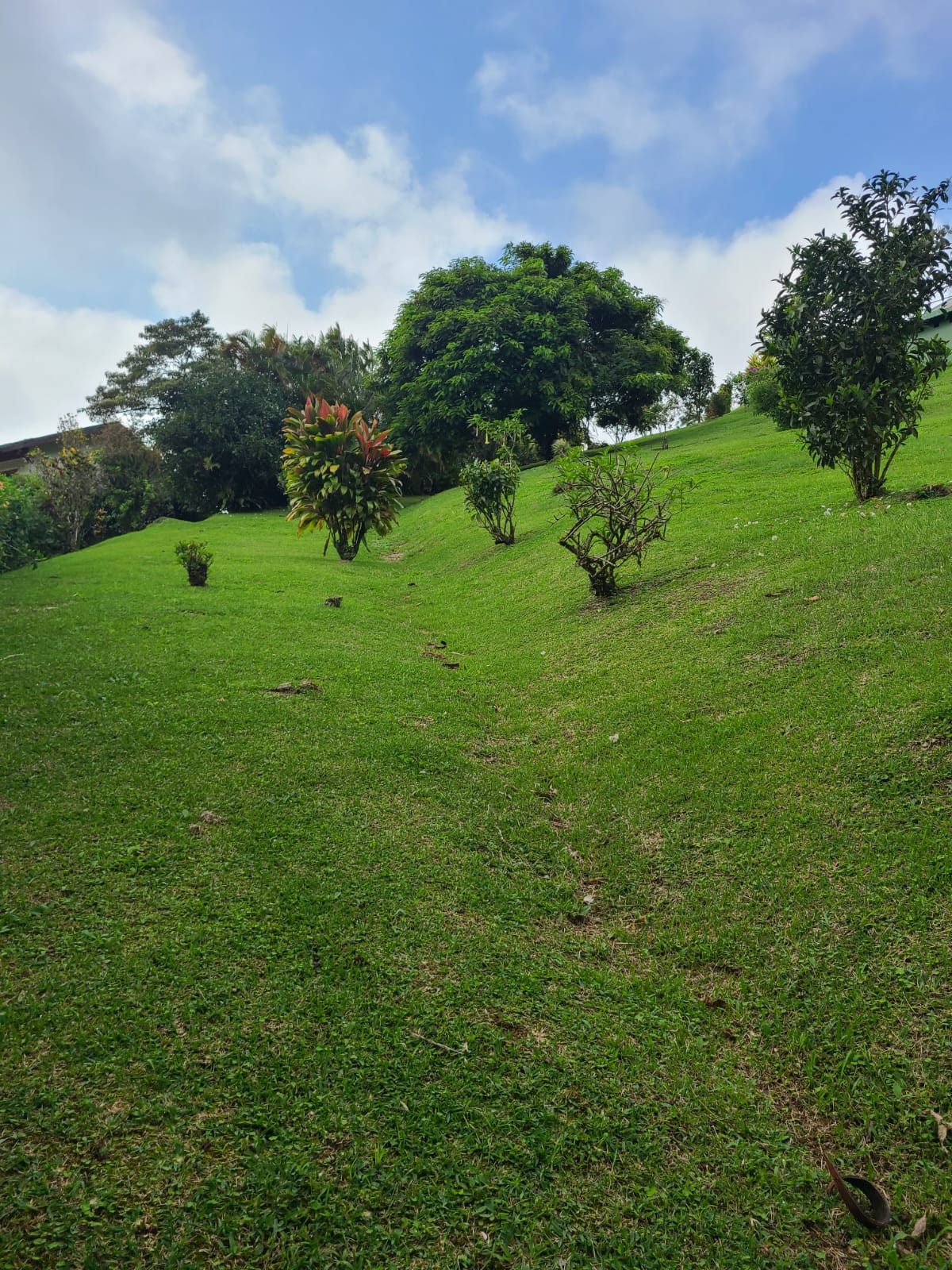 Lake View Home 2BD 2BA + Office + Gym in San Antonio, Nuevo Arenal photo 25