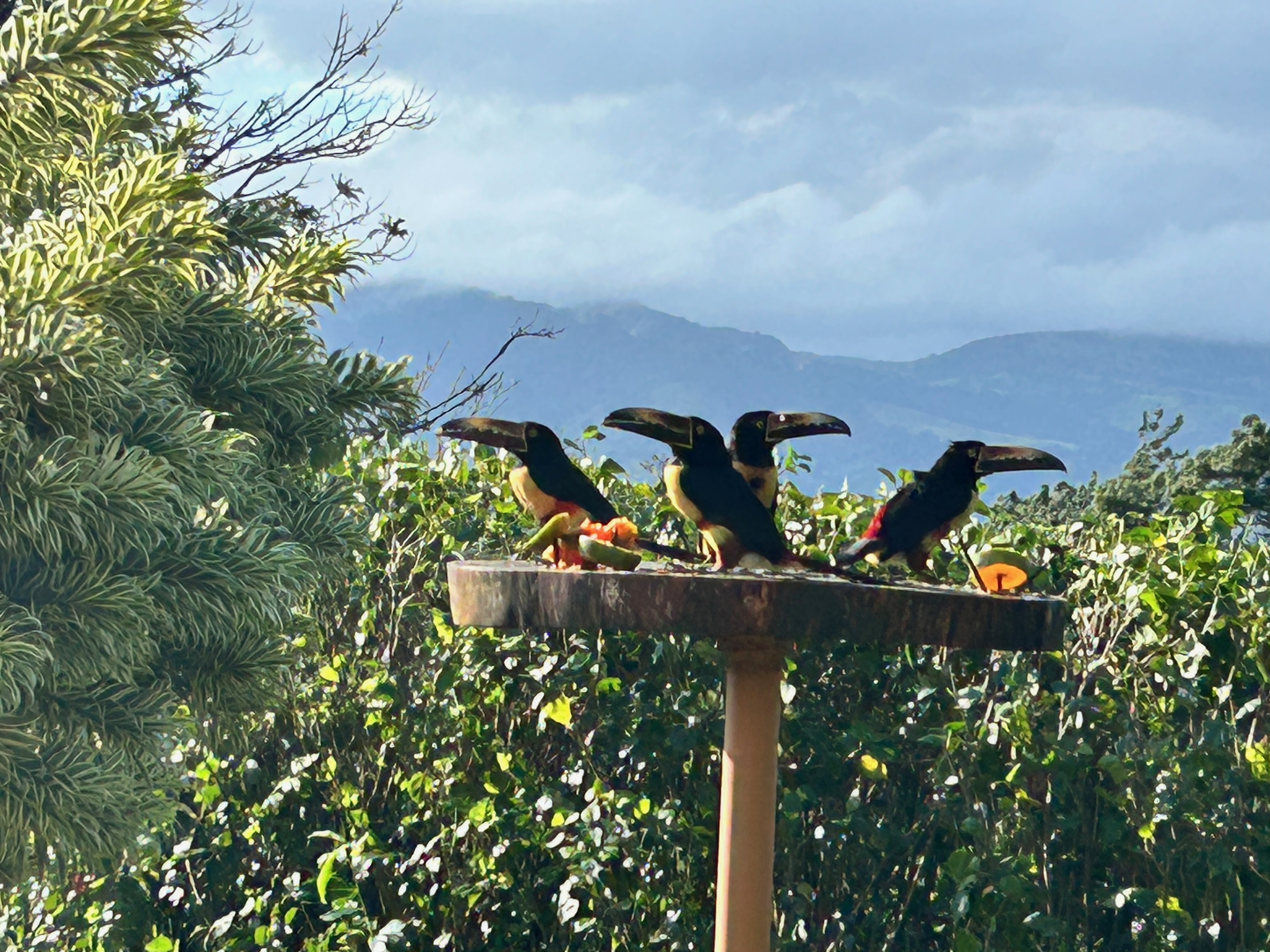 Charming 3-Bedroom Home with Guest House & Stunning Lake Arenal Views  photo 35