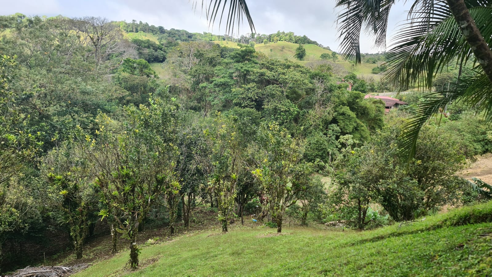 Lovely, 2625 M2 (0.64 acres) Lot in Mata de Caña, Nuevo Arenal photo 7