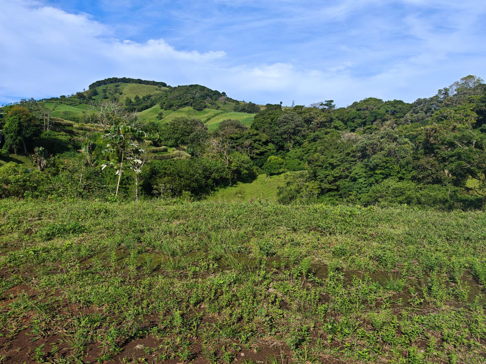 Lake & Volcano View Lot 3644 M2 (0.90 Acre) In Vistas del Lago photo 6