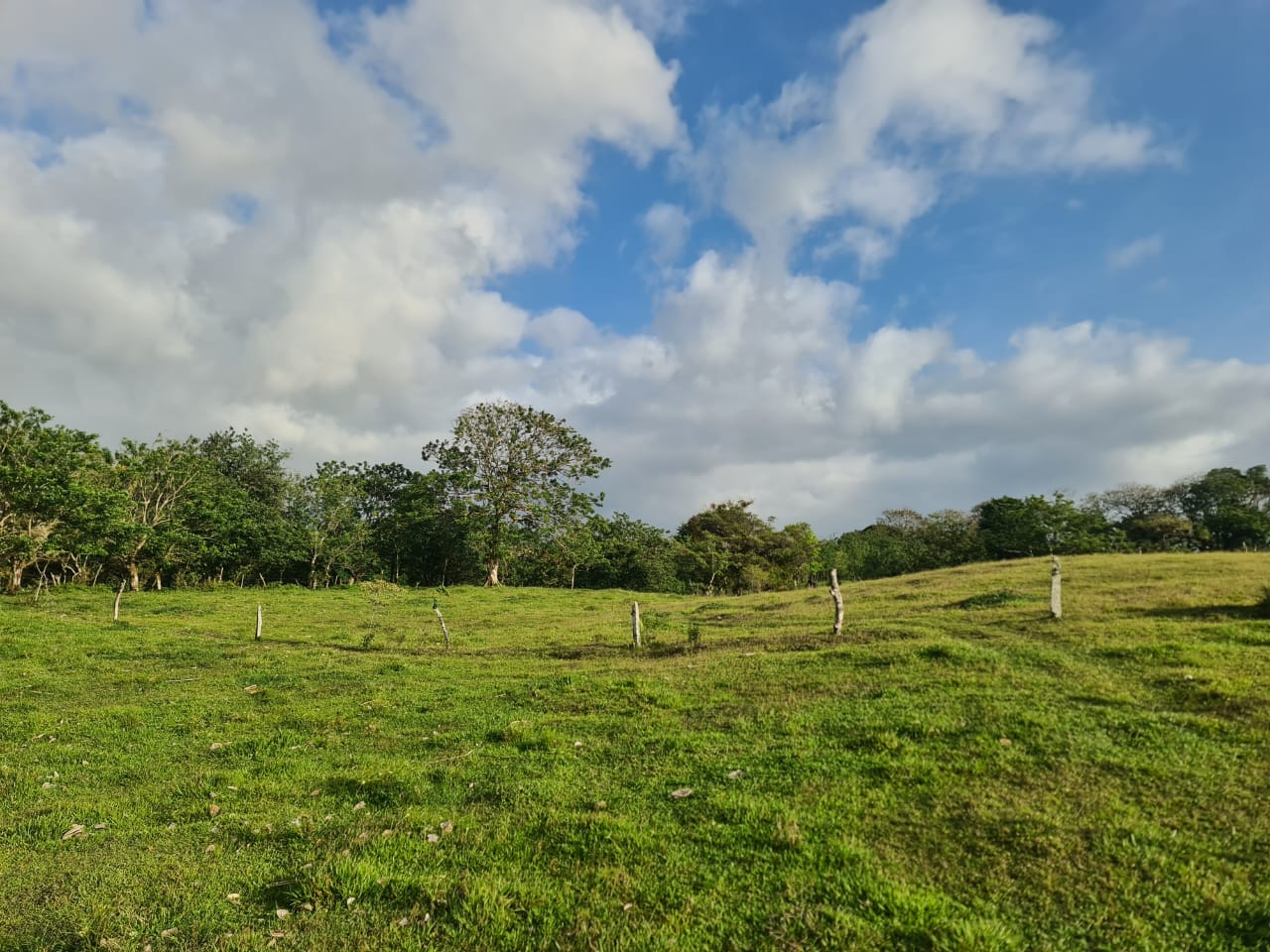 16-Hectare Farm with a Private Well and Views of Lake Arenal in Nuevo Arenal photo 12