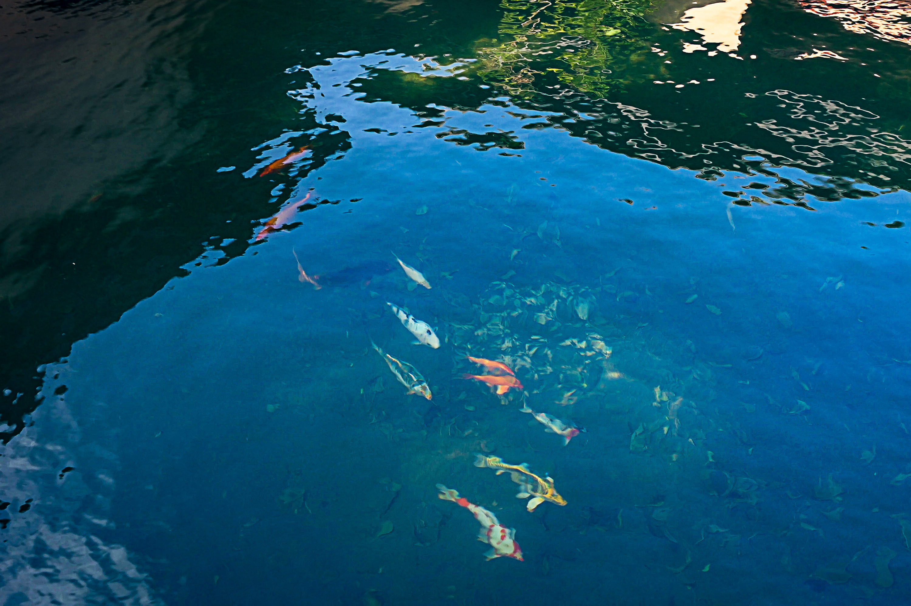 Spacious Arenal View Home with Cabins, Pavilion & Nature Trails  photo 6