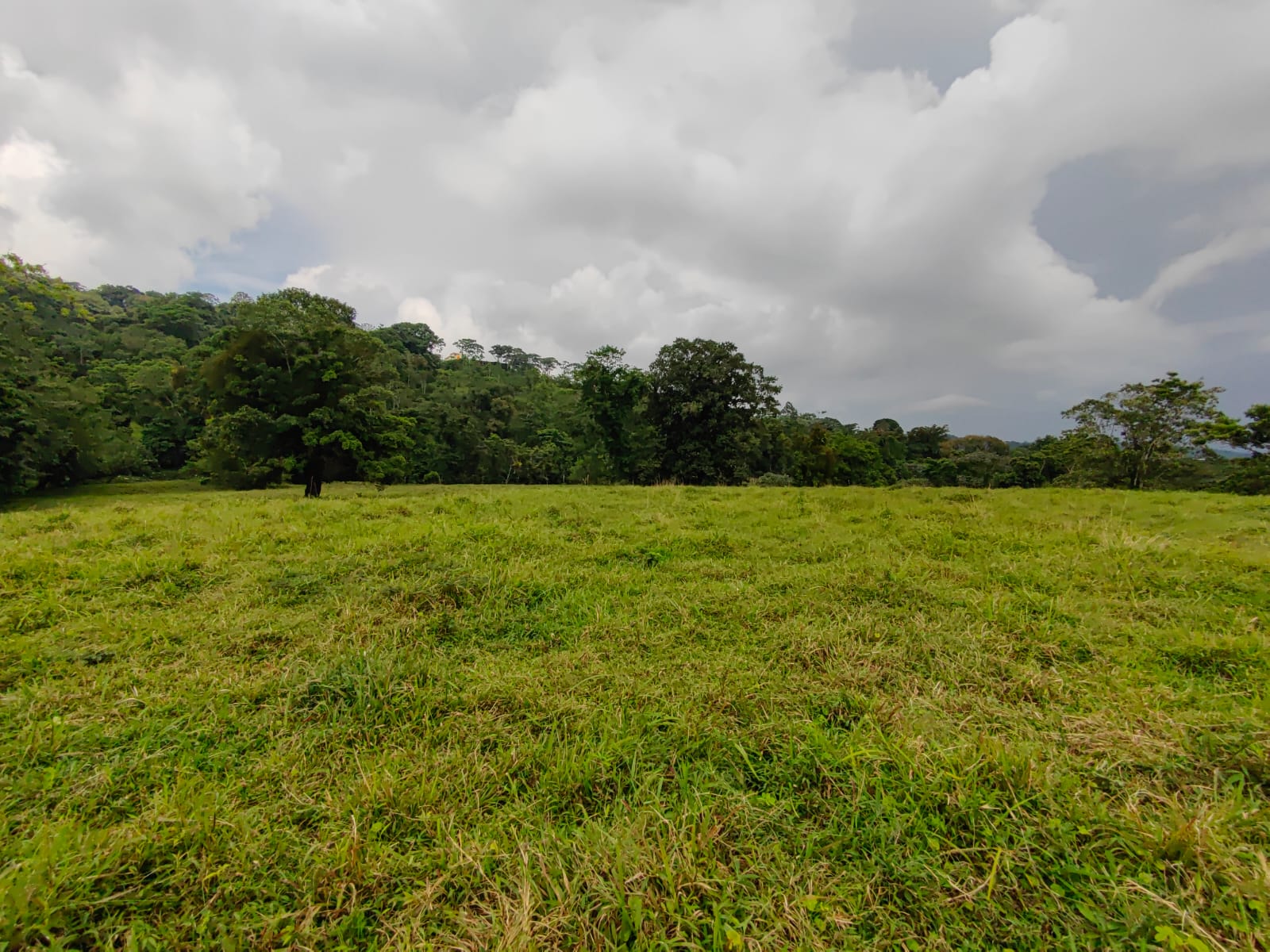 Finca La Tortuga – A Developer’s Dream! Lake Arenal View 5.7 Hectare Farm photo 7