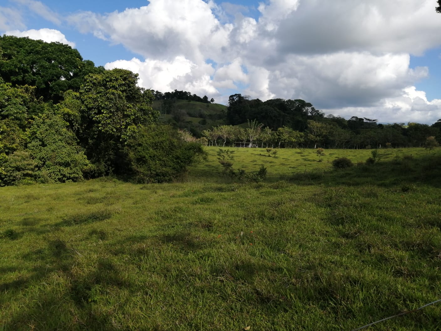 16-Hectare Farm with a Private Well and Views of Lake Arenal in Nuevo Arenal photo 35