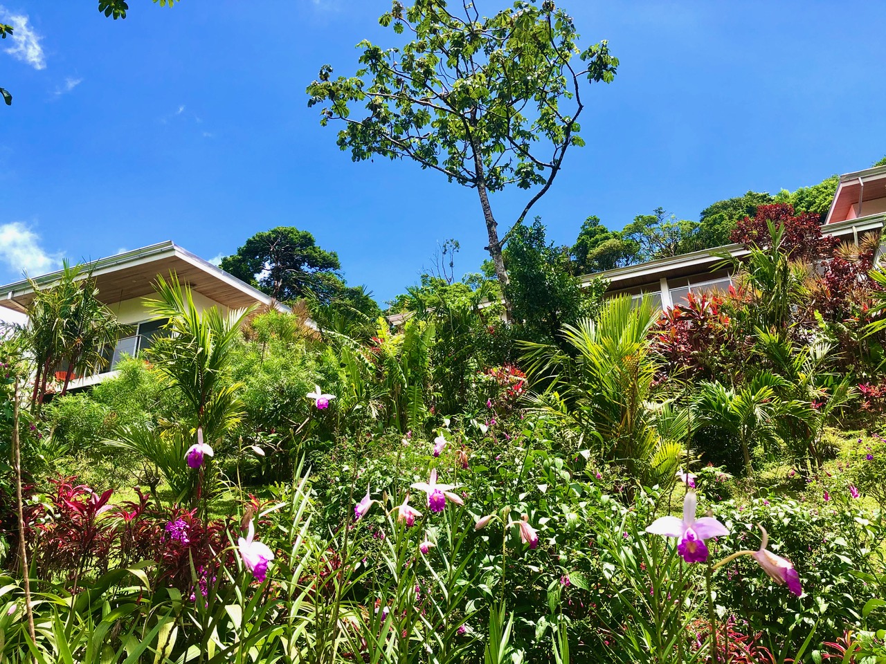 Casa Pink Sky 3BD 3BA – A Private Sanctuary with Volcano & Mountain Views photo 37