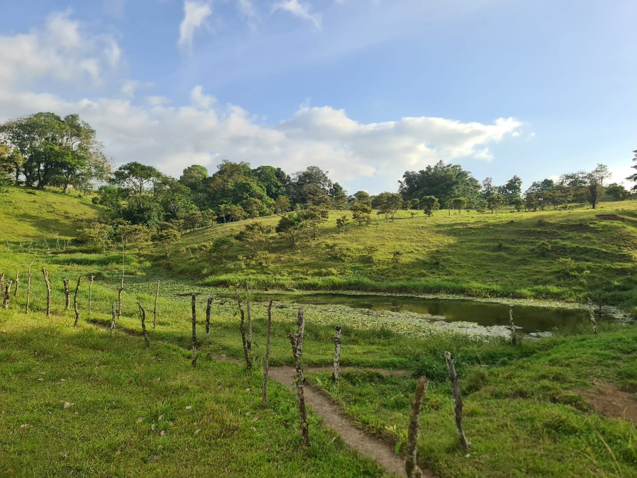 16-Hectare Farm with a Private Well and Views of Lake Arenal in Nuevo Arenal photo 11