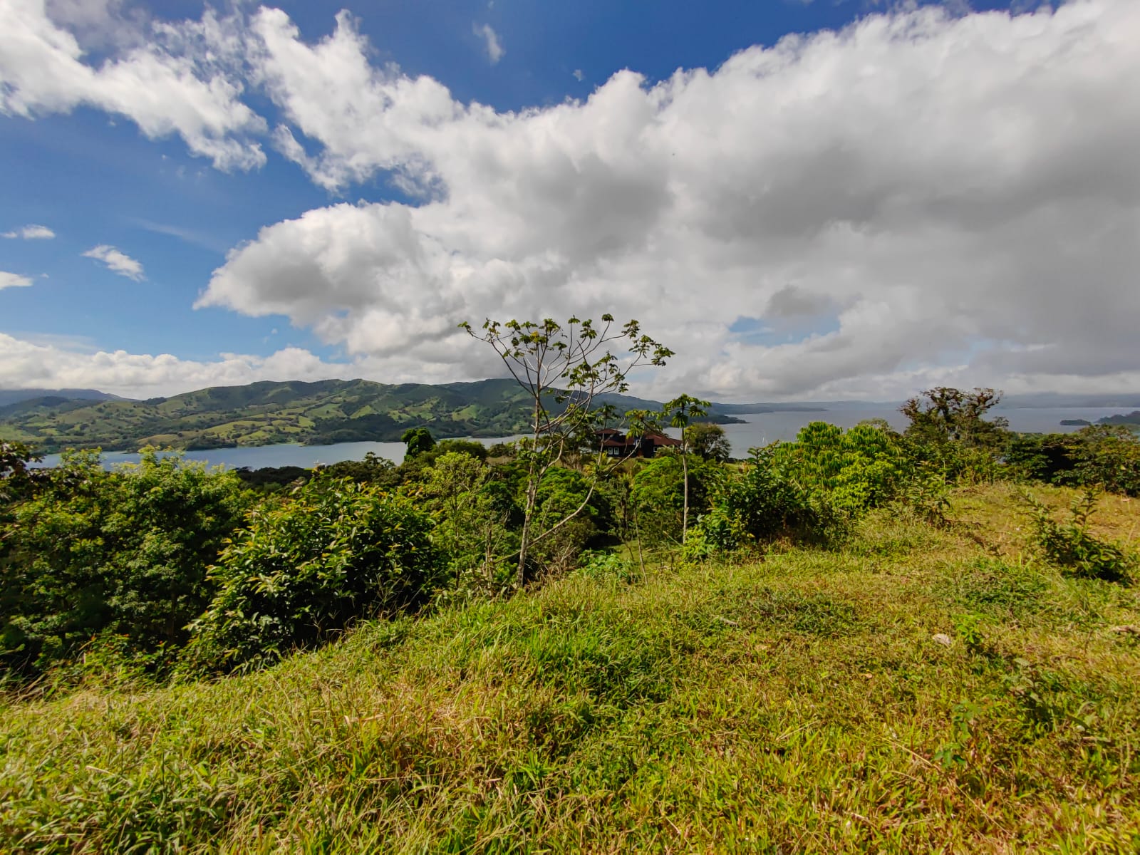 33,691 m² property with Amazing Views and Private Waterfall in La Union  photo 9