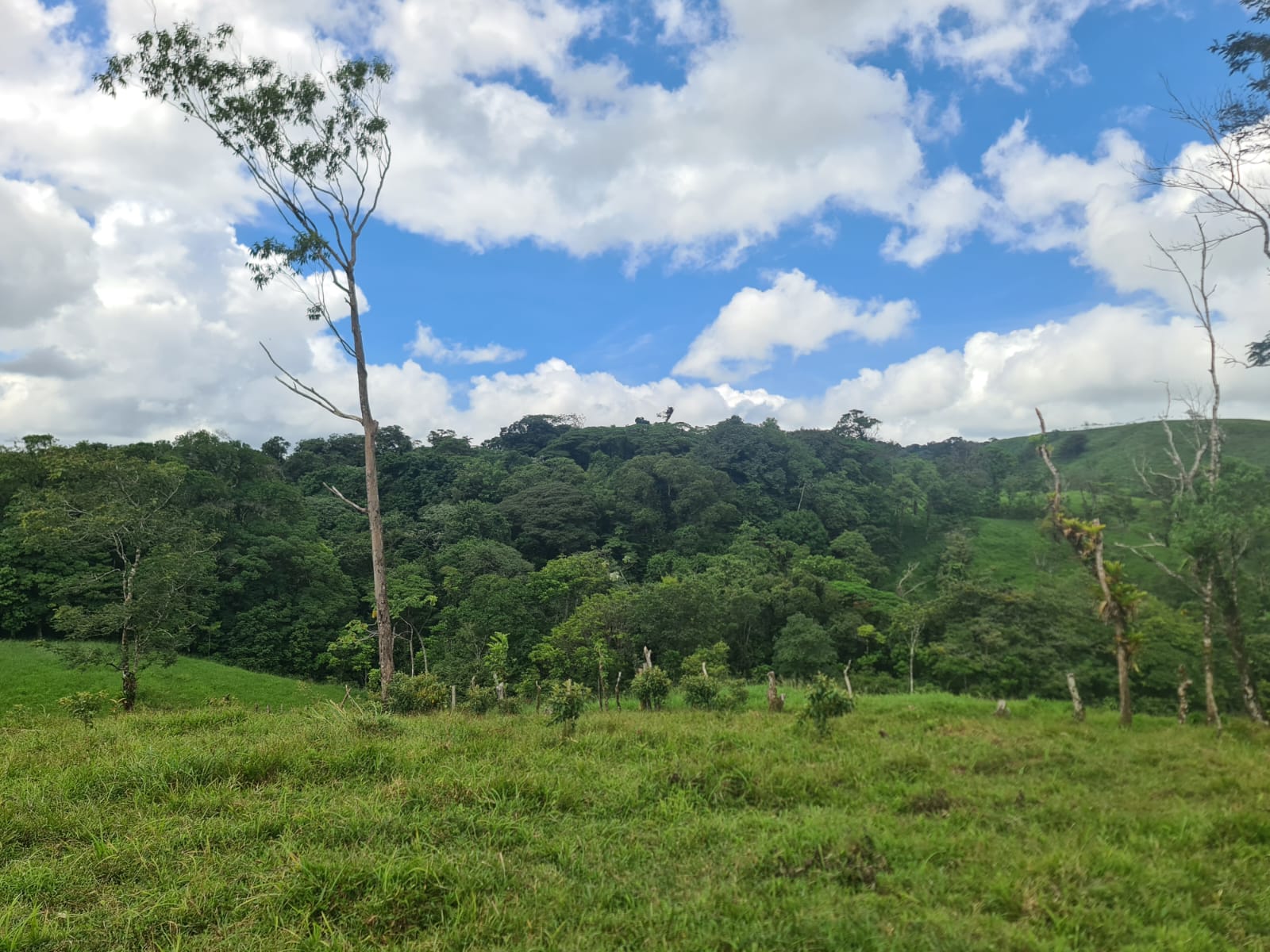 81,500 m2 (20.13 Acre) Lot with Lake and Volcano View in Nuevo Arenal photo 19