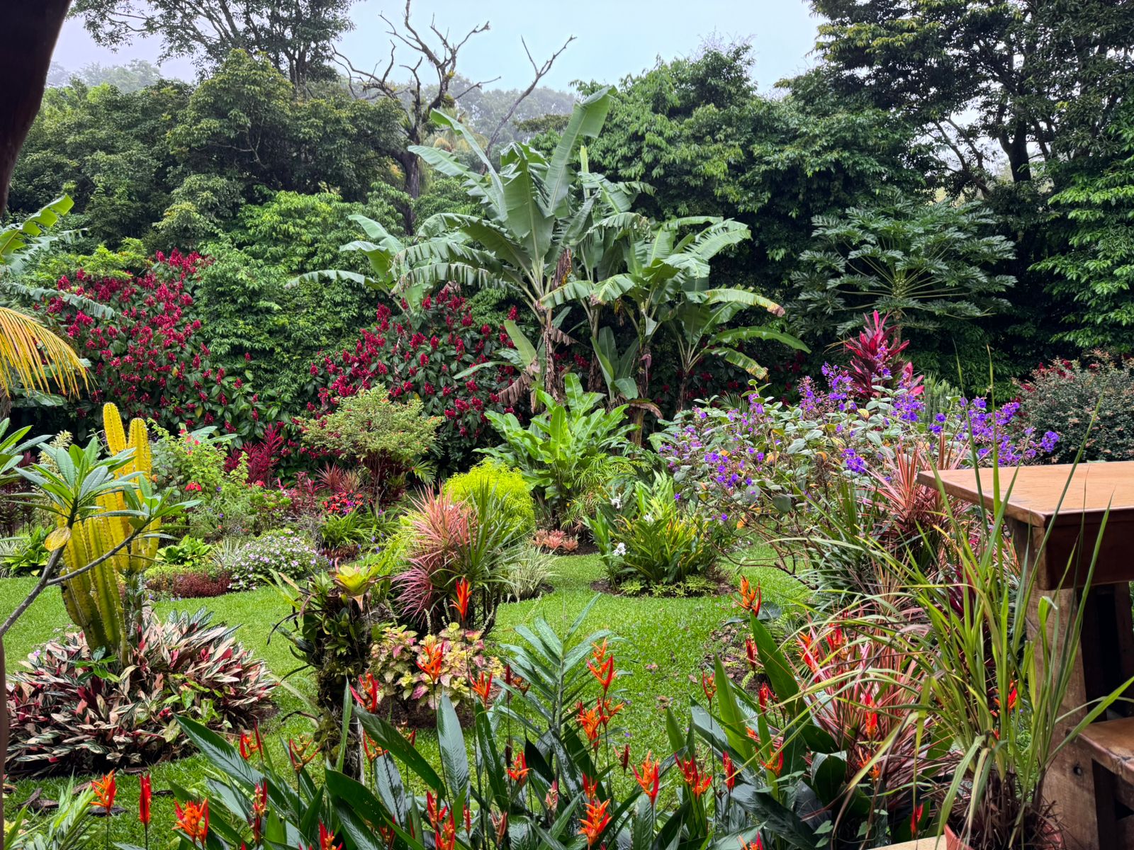 Mountain View Home 2 Bedrooms 2 Bathroom in Sabalito photo 24