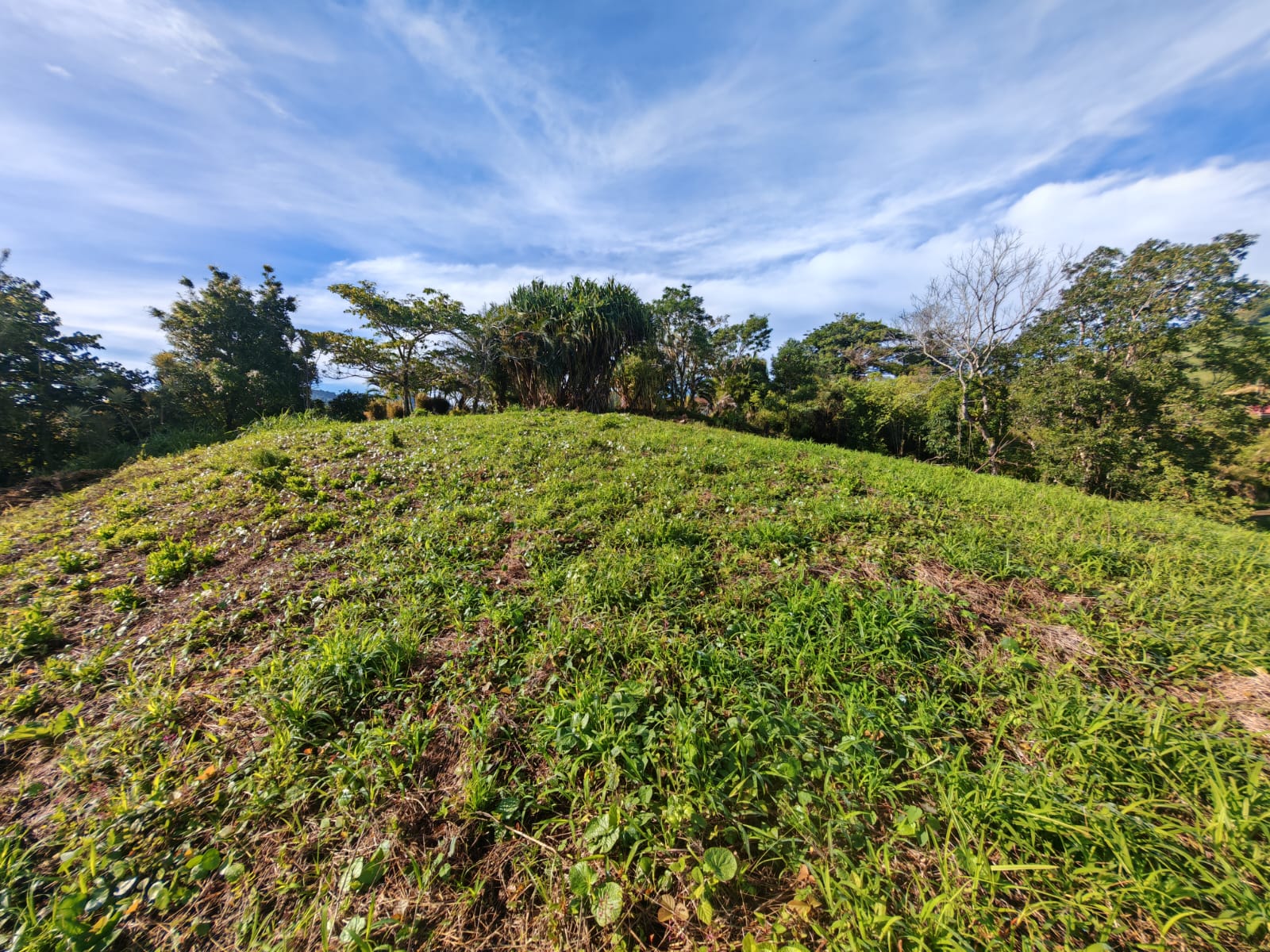 Lake & Volcano View Lot 5505 M2 (1.36 Acre) In Vistas del Lago photo 7