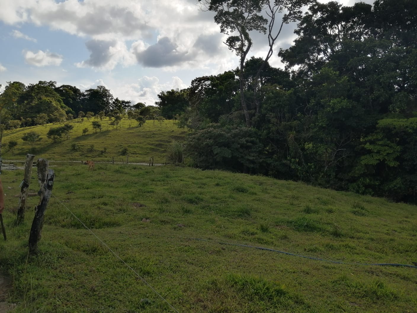 16-Hectare Farm with a Private Well and Views of Lake Arenal in Nuevo Arenal photo 51