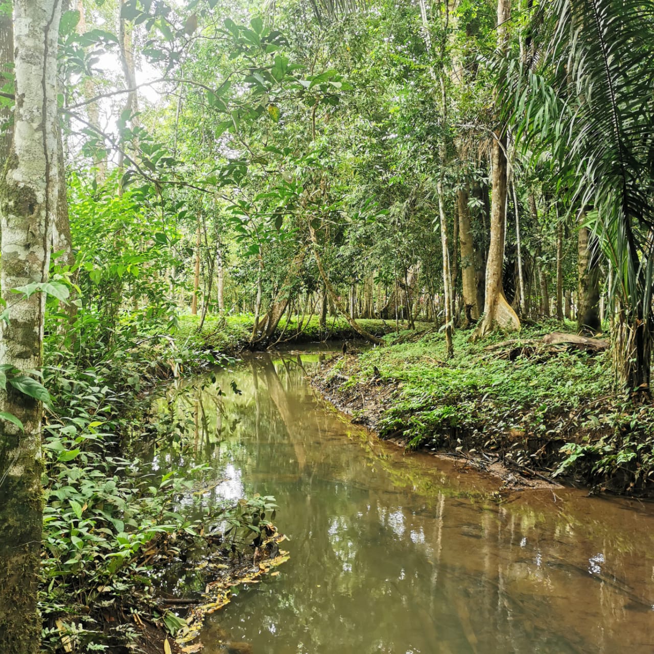 7.1-Hectare Lot w/ Private Well & Development Potential in Upala photo 13