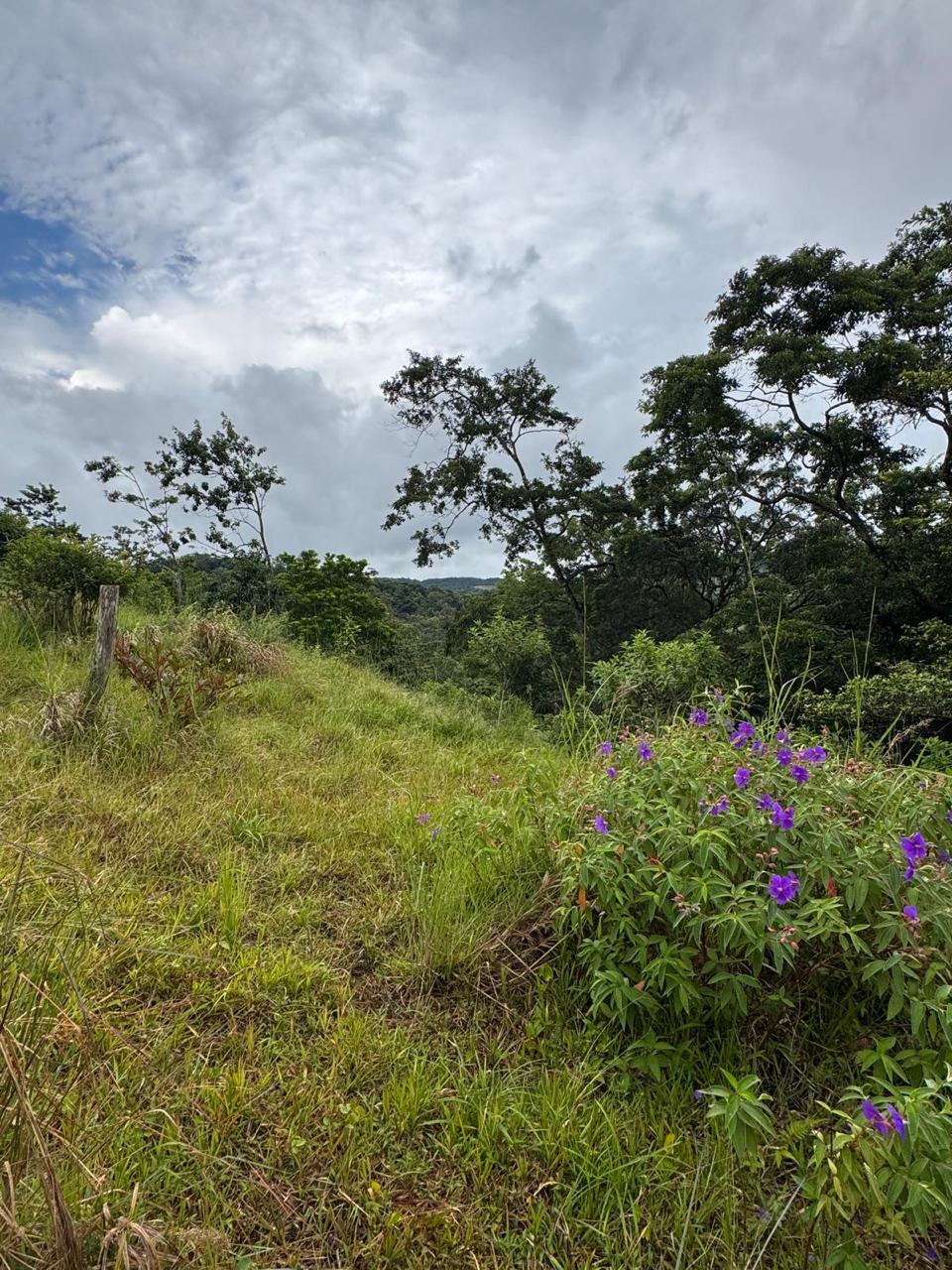 Expansive Lake-Access Property in Turtle Cove, El Aguacate photo 8