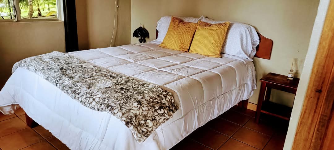 Commercial property: main house + 5 cabins + greenhouse + stable in Cinco Esquinas  photo 47