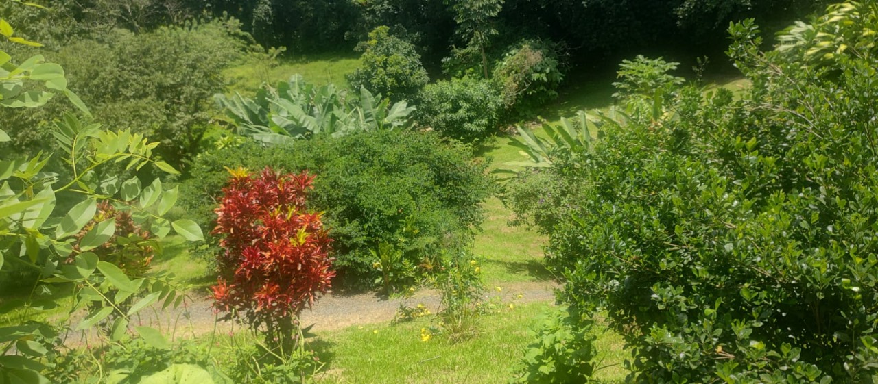 Stunning 2-bedroom, 2-bathroom home with Pool and Lake Arenal Views photo 26