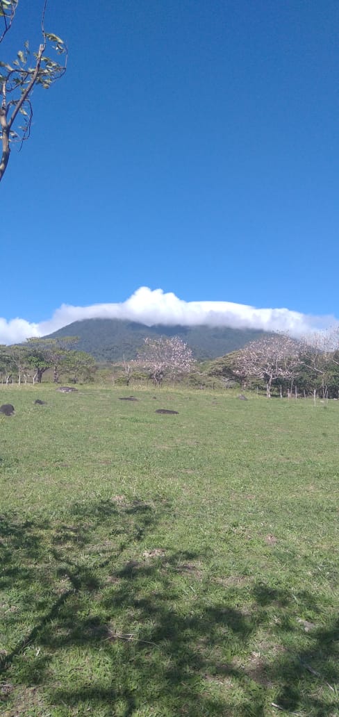 10,000 M2 (2.47 Acre) Lot with Volcano View in Nueva Guatemala photo 16