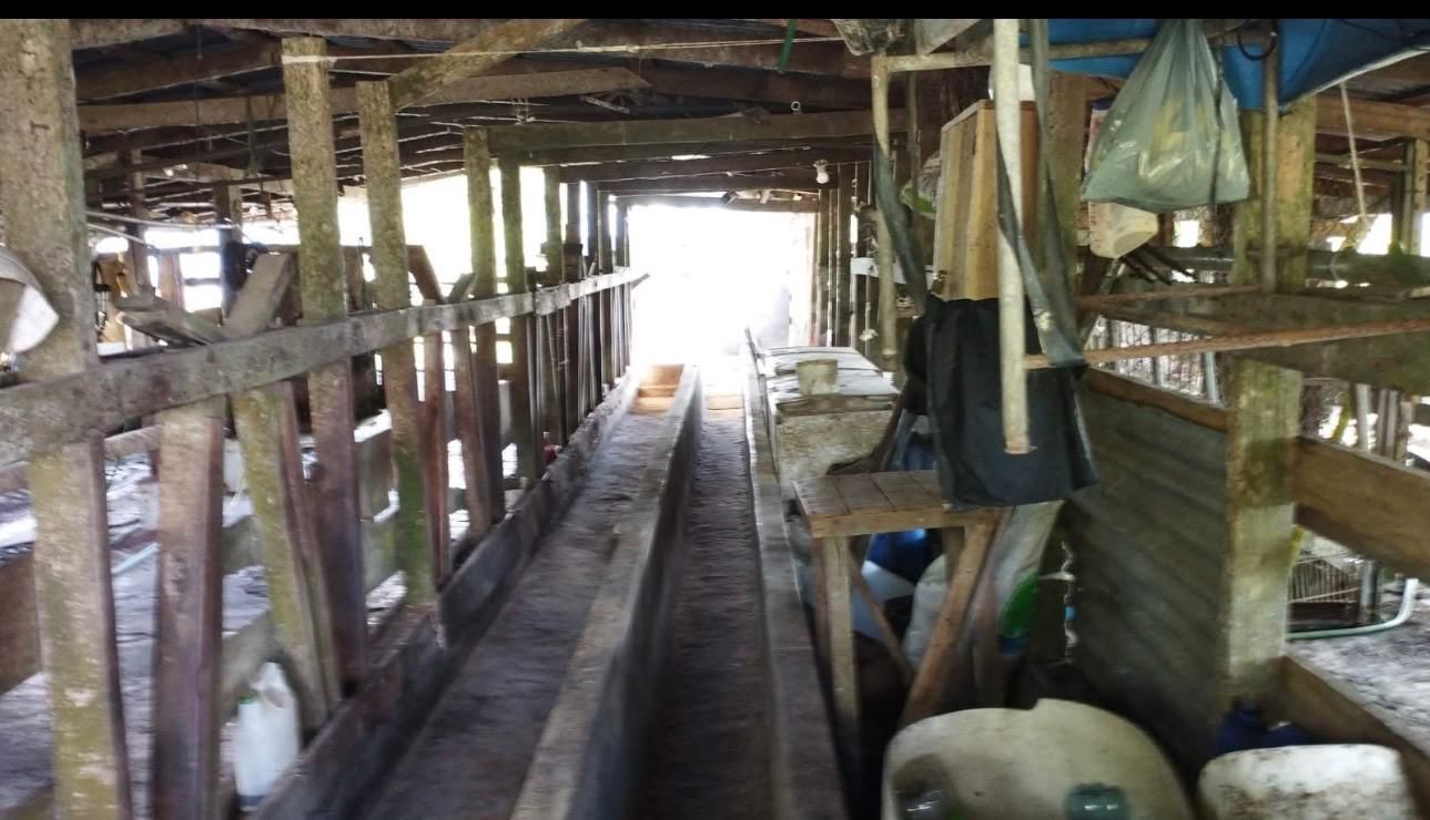 Expansive Self-Sufficient Farm Overlooking Lake Arenal in Nuevo Arenal photo 13