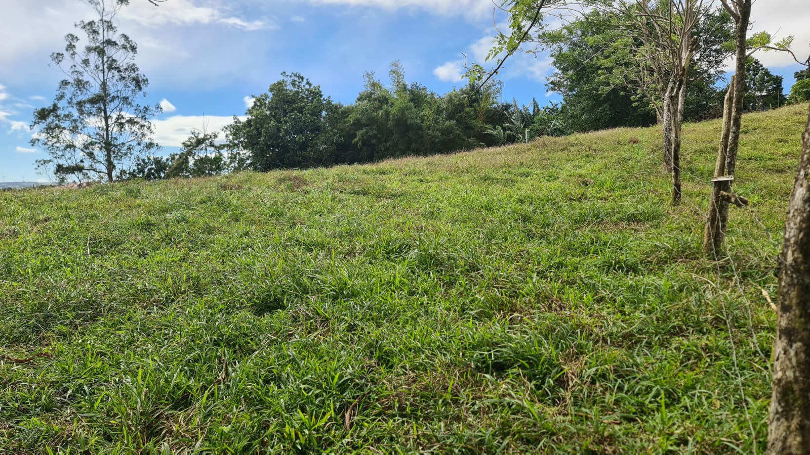 Fabulous, 5000 m2, Lake View Lot near Downtown Nuevo Arenal photo 10